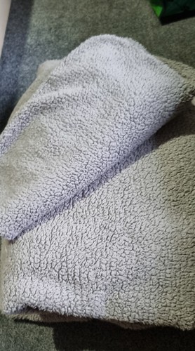 Grey teddy bear single - grey,