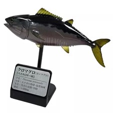 Bluefin Tuna Mini Figure
