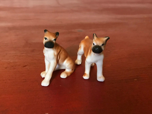 Vintage brown white - &, boxer