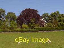 Photo 6x4 A house near Denton