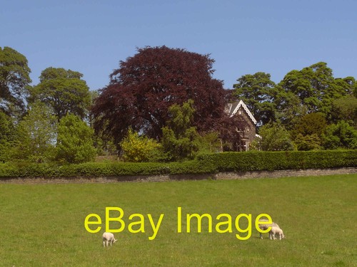 Photo 6x4 house near - photo,