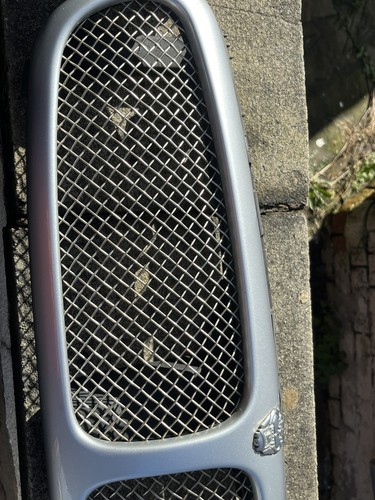 Sport mesh grille jaguar - jaguar, x