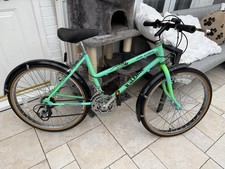 Raleigh Lizard Kids Girls Mountain Bike Excellent Condition Retro Old School