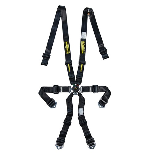 6pt harness profi 2x2 - profi, up