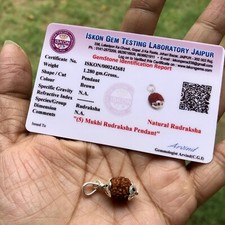 Lab Certified 925 Silver + 5 Mukhi RUDRAKSHA Panchmukhi Rudraksh 5 Face Pendant