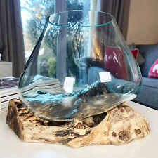 Molten Glass 21cm Bowl On Teak Root Stand Large Rustic Wood Ornament Sculpture