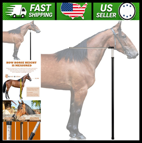 Horse measuring stick height - measuring,