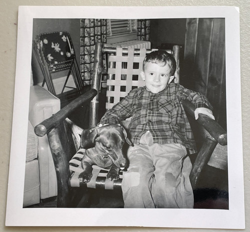 Vintage photo dachshund - dachshund, dog