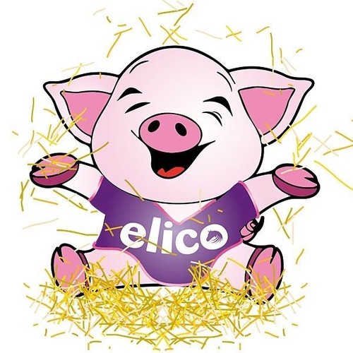 Slow trickle feed haynet very - trickle,