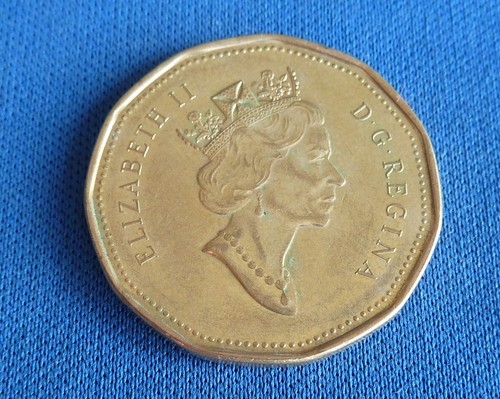 Canada one dollar coin - coin, $1