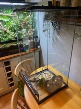 Large glass terrarium 45 - terrarium, x