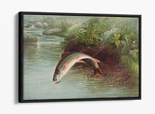 LEAPING BROOK TROUT BY SAMUEL KILBOURNE- FLOAT EFFECT FRAMED CANVAS ART PRINT