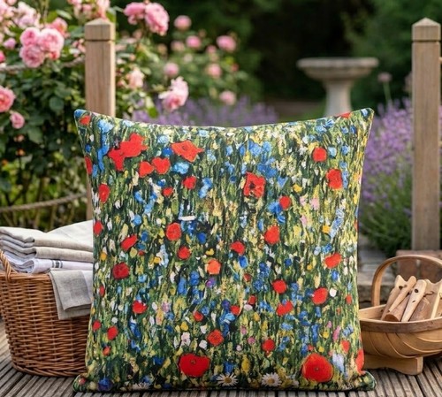 Field poppies outdoor - field,