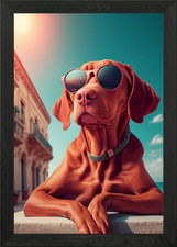 Vizsla Framed Wall Art Poster Canvas Print Picture