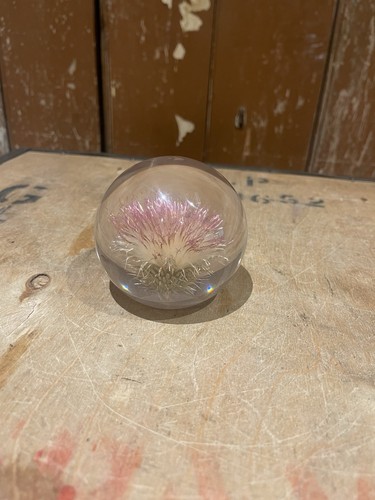 Botanical hafod grange - grange, thistle