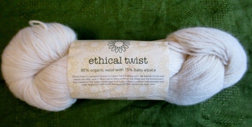100g skein styecraft ethical - skein,