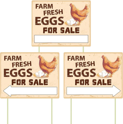 Farm fresh eggs - farm,