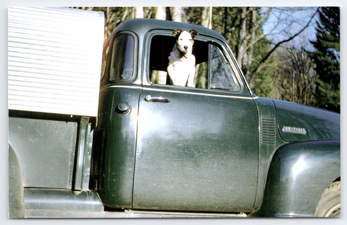 Vtg postcard lets - vtg, go