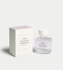 Hollister Budding Romance