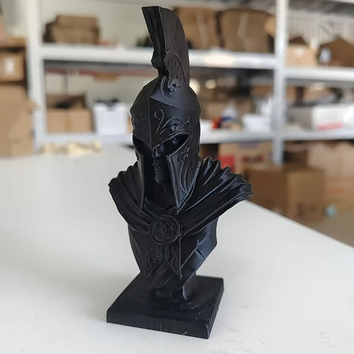 Printed spartan warrior - printed,