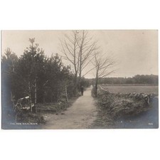 ELGIN The New Walk, Moray RP Postcard Unused