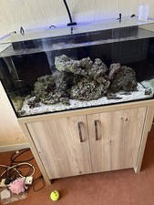 Fishing Aguarium Fish Tank