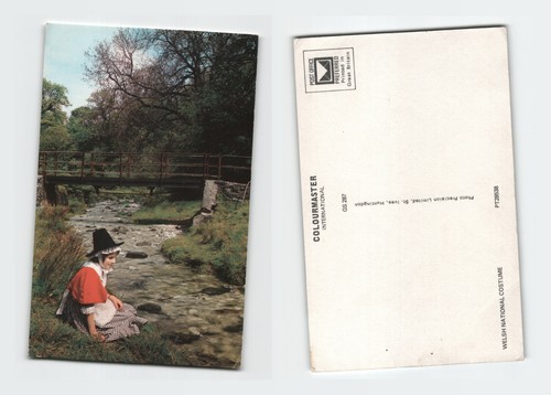 Vintage postcard welsh - vintage,