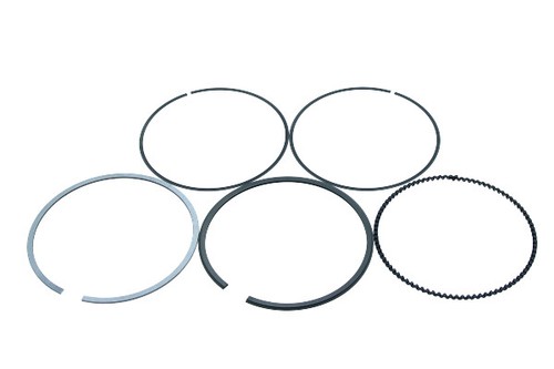 Piston rings for cylinder - piston,
