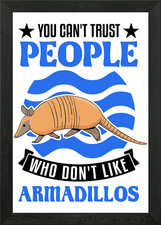 Armadillo Gift Framed Wall Art