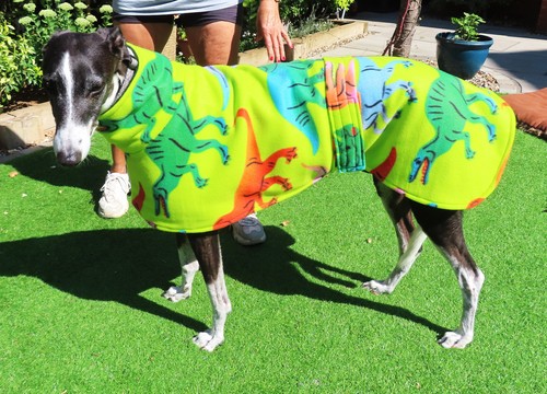 Double fleece dog coat - fleece,