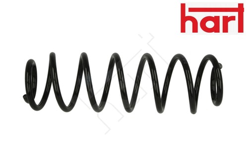 Rear coil spring pcs - coil, pcs.