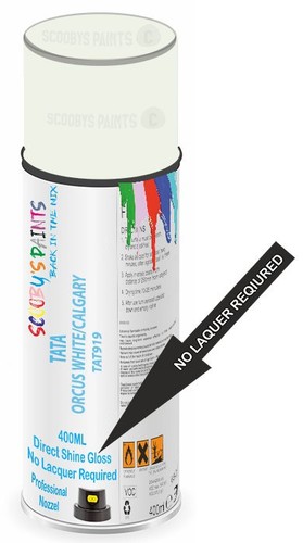 Direct shine paint spray - direct,