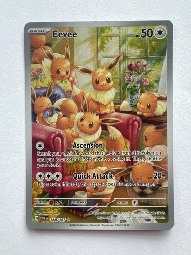 Pokémon tcg 2024 eevee - 2024,