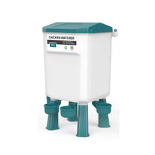 Chicken poultry drinker - chicken,