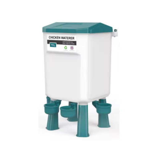 Chicken poultry drinker - chicken,