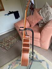 12 string electro acoustic guitar tanglewood winterleaf