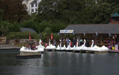 Photo 6x4 swan pedalo at - 6x4,