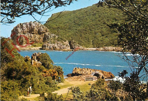 Picture postcard cape - picture, south
