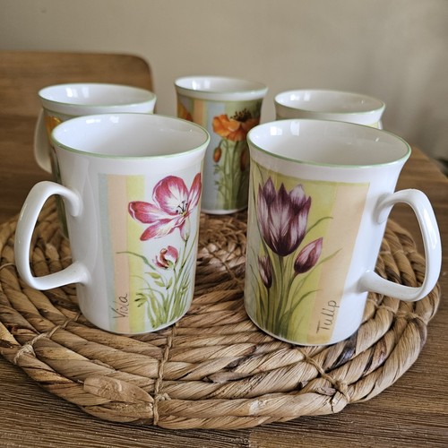 Rose england cups - england, fine