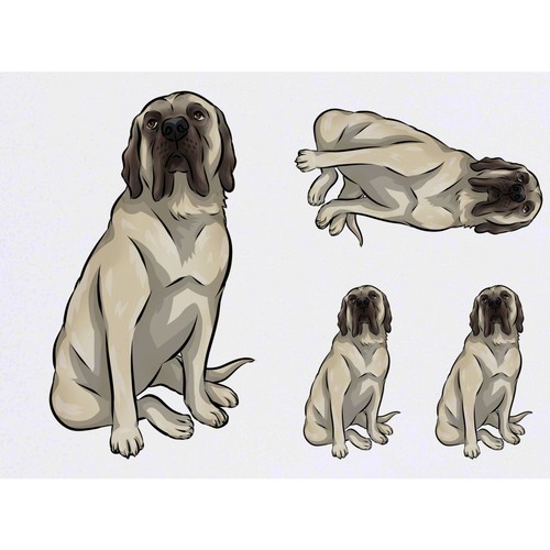 English mastiff - 4, mastiff'