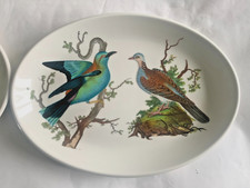 Portmeirion Birds of Britain Oval Steak Plate 27cm Roller + Turtle Dove Last One