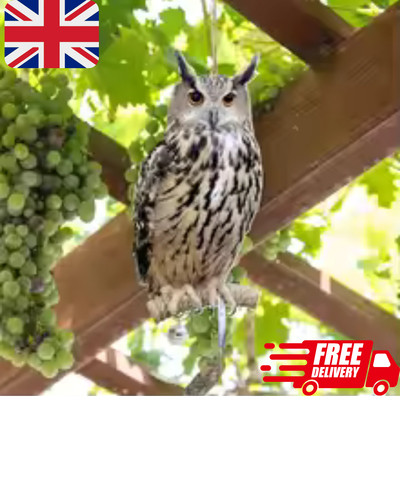 Owl decoy bird deterrent - bird,