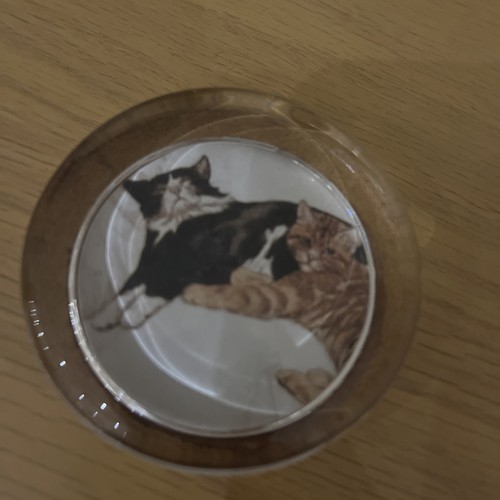 Art glass paperweight cats - glass,