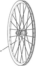 101 XPLR Moto Rim