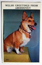 Novelty Drop Down Postcard -