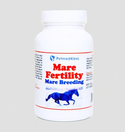 Fertility horse mare equine - mare,