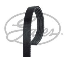 GATES Drive Belt for Lotus