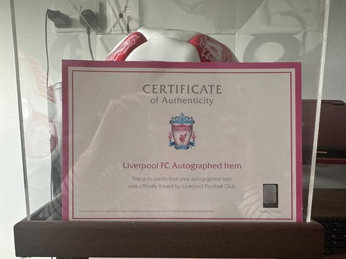 Liverpool 2014 squad - fc,