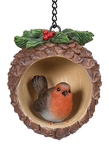 Christmas robin bird pine - christmas, in