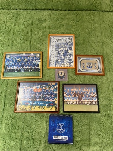 Everton football shirt frame - everton,